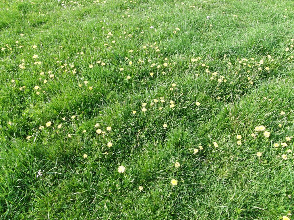 duch.obnova (62).JPG