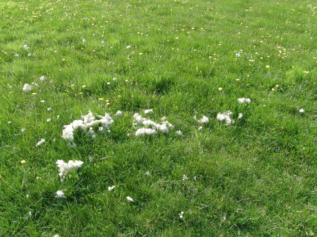 duch.obnova (64).JPG