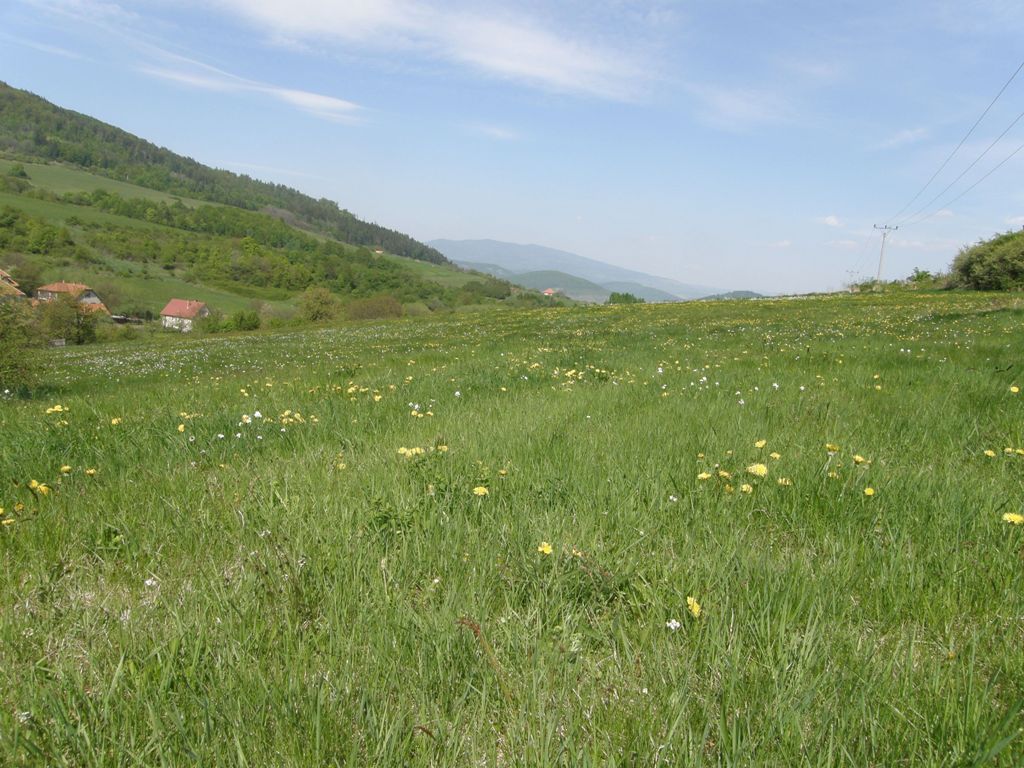 duch.obnova (150).JPG