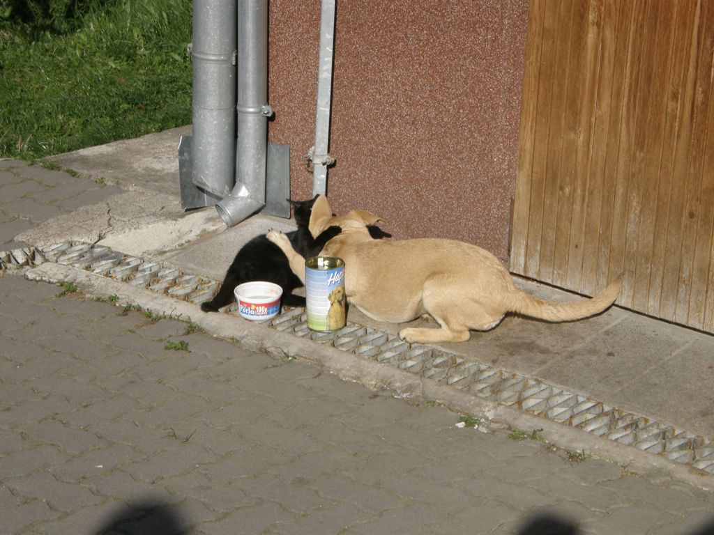 duch.obnova (178).JPG