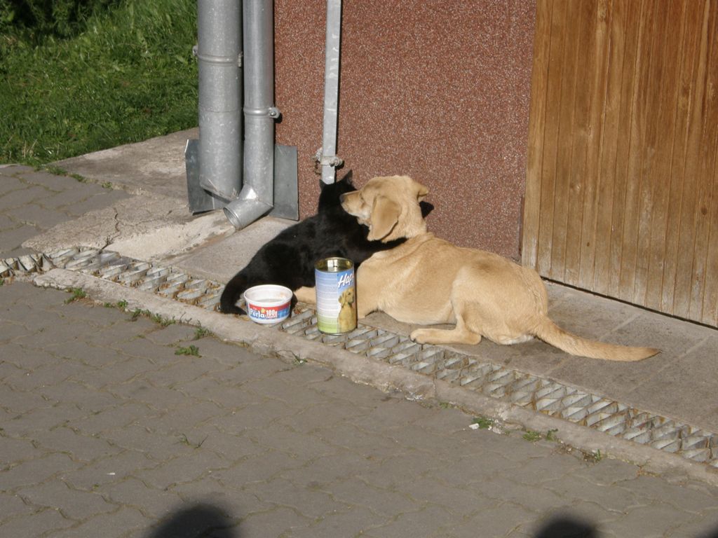 duch.obnova (179).JPG