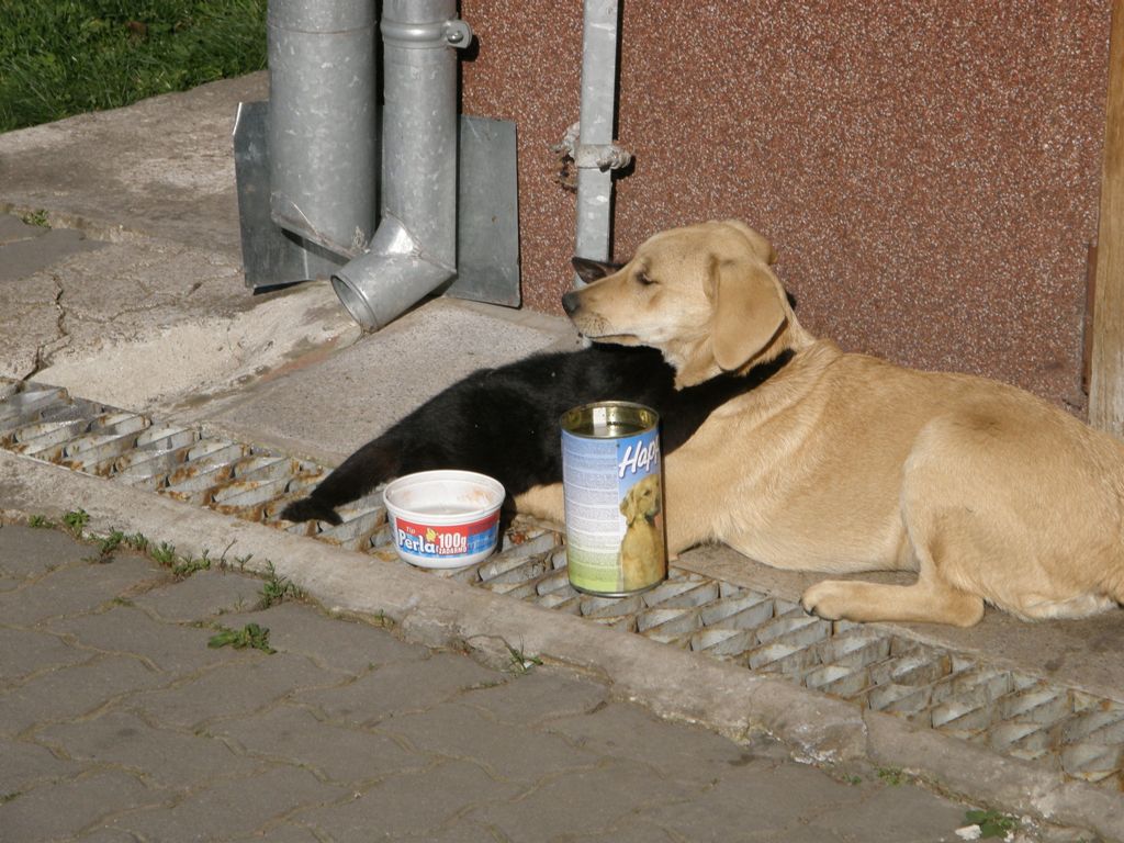 duch.obnova (180).JPG