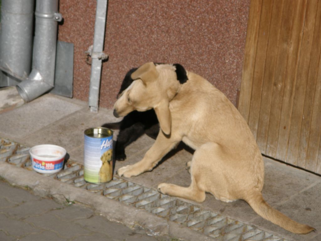 duch.obnova (181).JPG