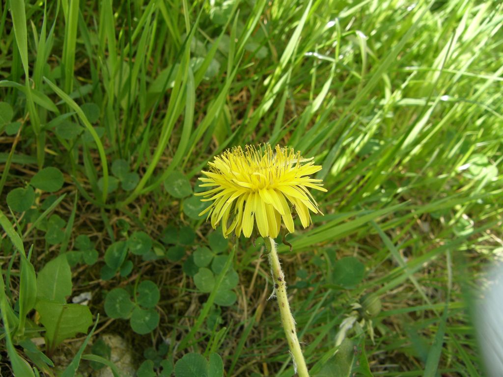 duch.obnova (239).JPG