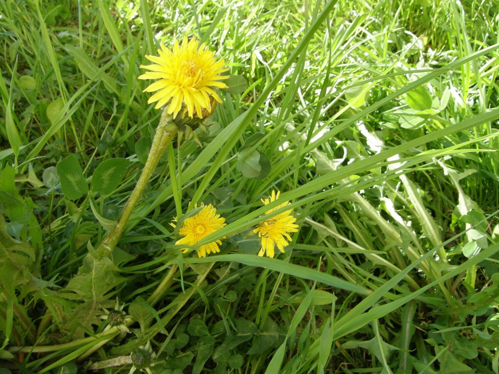 duch.obnova (240).JPG