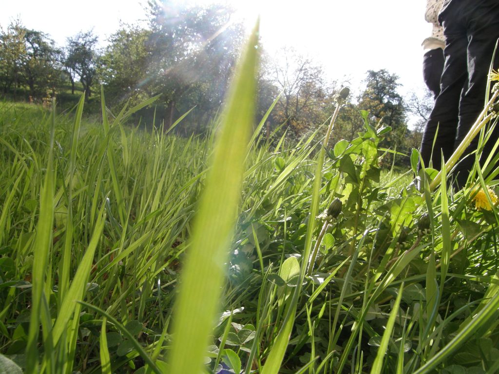 duch.obnova (241).JPG