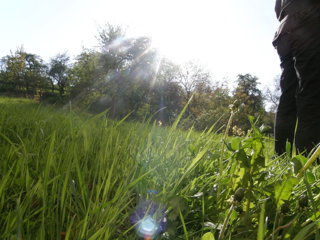 duch.obnova (242).JPG