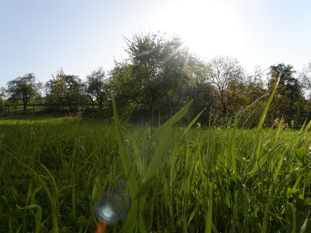 duch.obnova (243).JPG