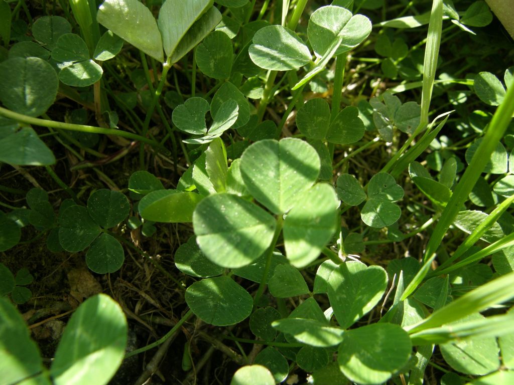 duch.obnova (244).JPG